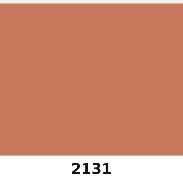 Màu mã 2131 | QMNT 576