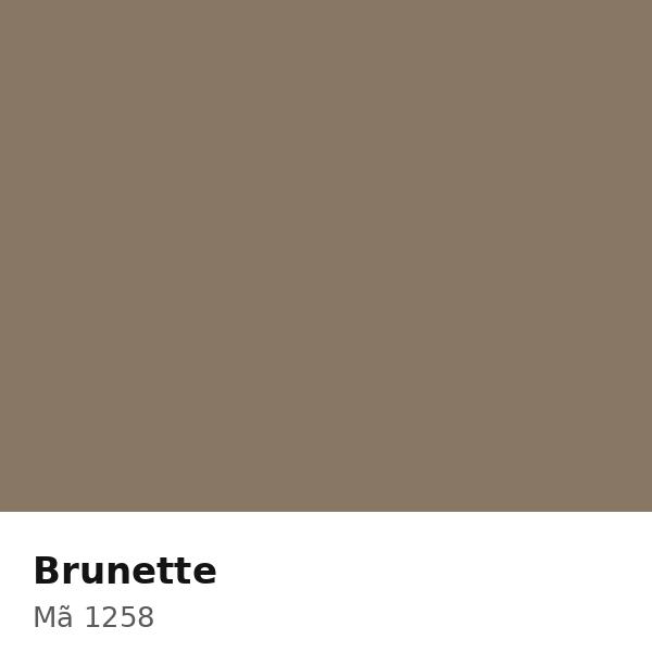 Pha màu Brunette - mã 1258 (5811-Y19R)