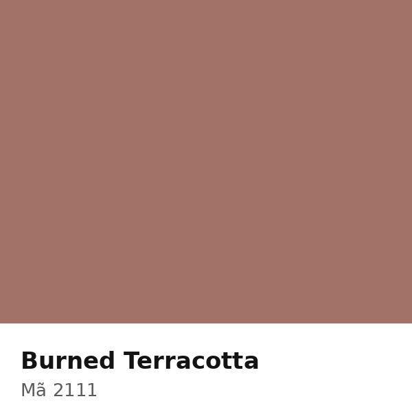 Pha màu Burned Terracotta - mã 2111 (4427-Y76R)