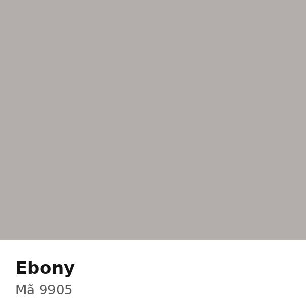 Pha màu Ebony - mã 9905 (S3500-N)