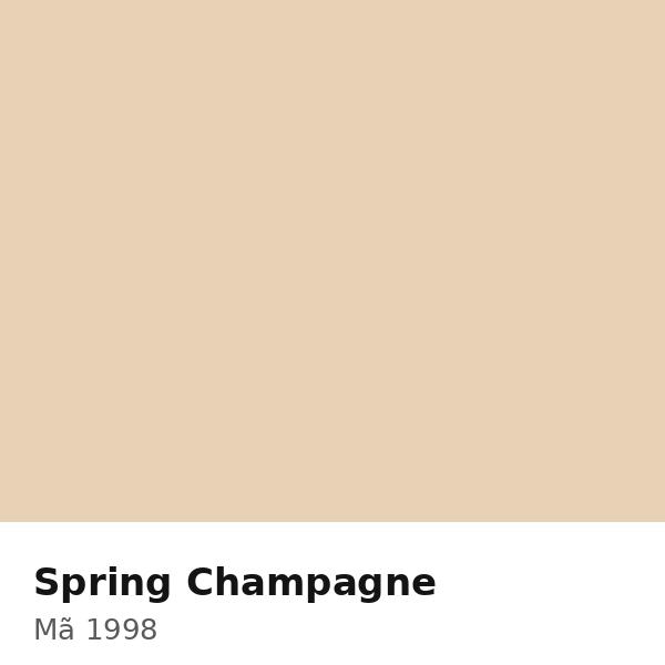 Pha màu Spring Champagne - mã 1998 (S1510-Y20R)