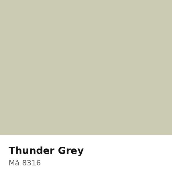 Pha màu Thunder Grey - mã 8316 (S2010-G50Y)