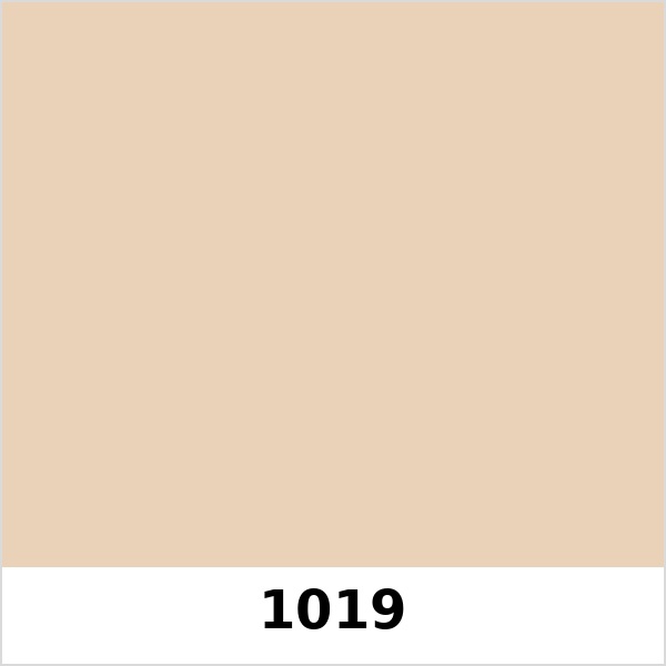 Màu mã 1019 | QMNT 576