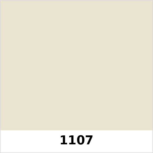 Màu mã 1107 | QMNT 576