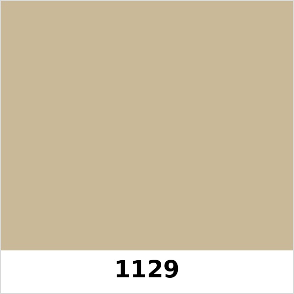 Màu mã 1129 | QMNT 576
