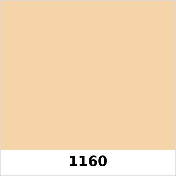Màu mã 1160 | QMNT 576
