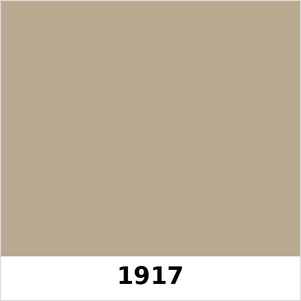 Màu mã 1917 | QMNT 576
