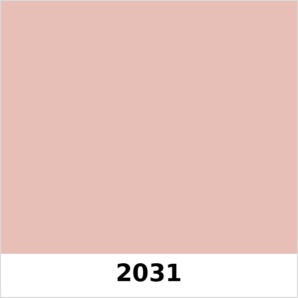 Màu mã 2031 | QMNT 576