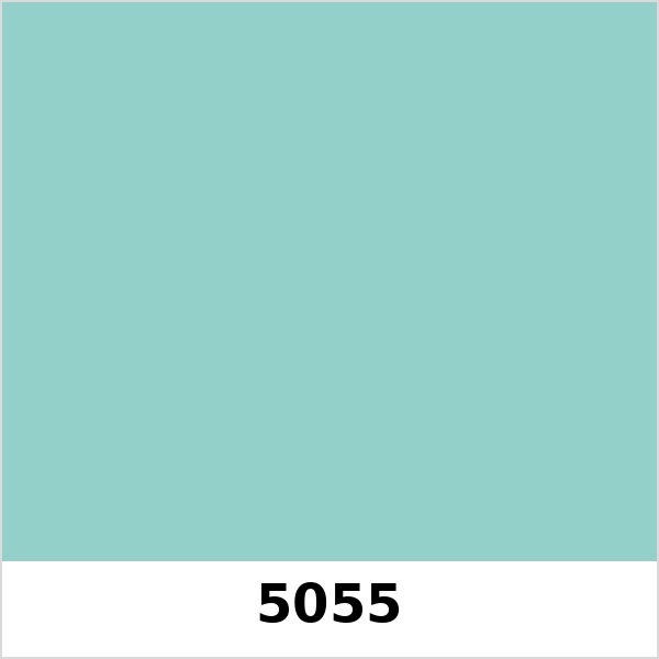 Màu mã 5055 | QMNT 576