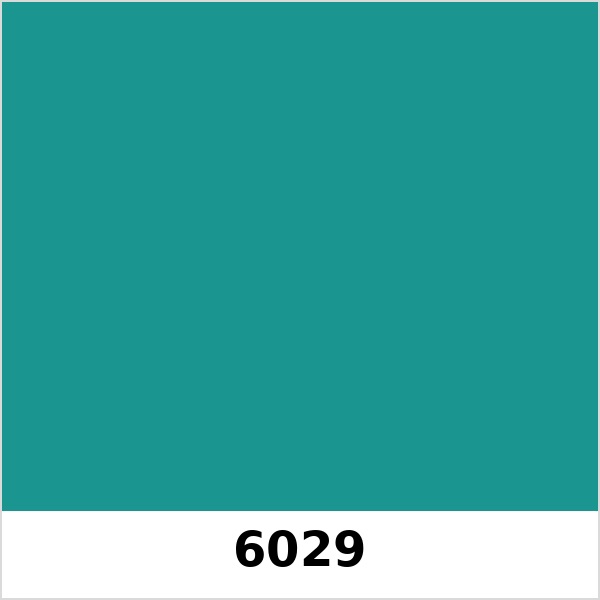 Màu mã 6029 | QMNT 576