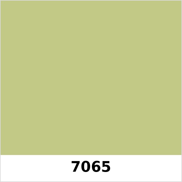 Màu mã 7065 | QMNT 576
