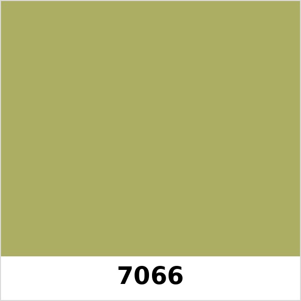 Màu mã 7066 | QMNT 576