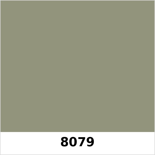 Màu mã 8079 | QMNT 576