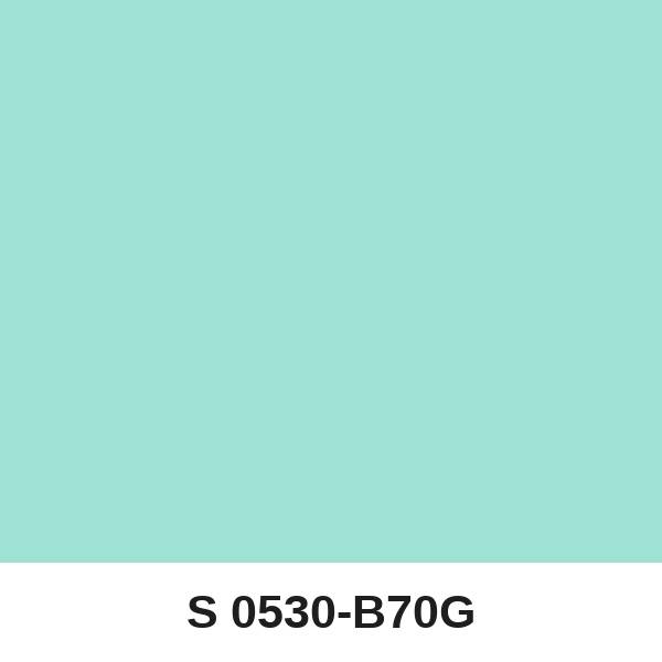 Màu mã S 0530-B70G ( QMNT 960 )