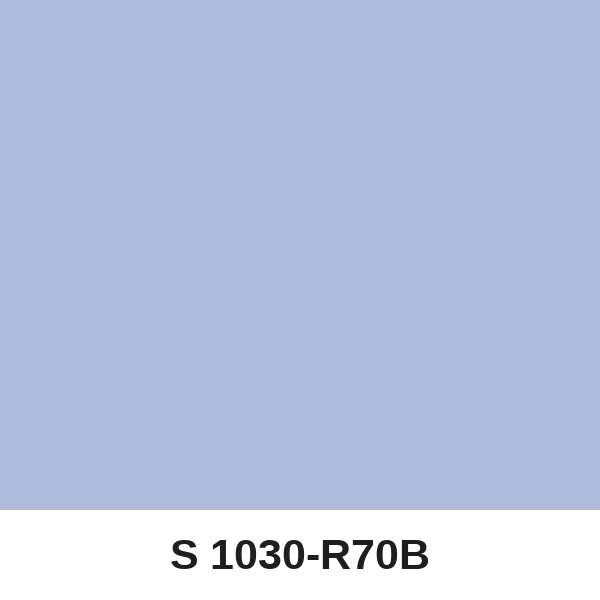 Màu mã S 1030-R70B ( QMNT 960 )