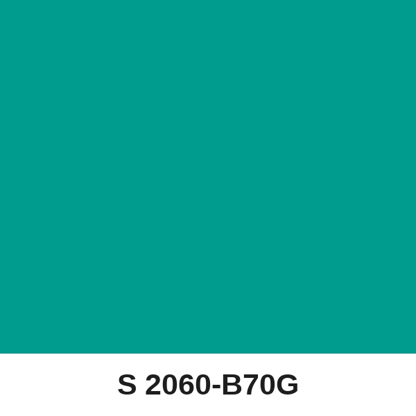 Màu mã S 2060-B70G ( QMNT 960 )