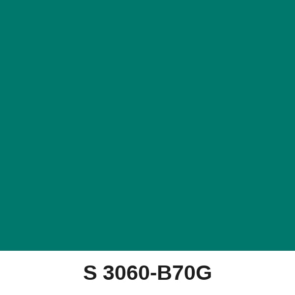 Màu mã S 3060-B70G ( QMNT 960 )