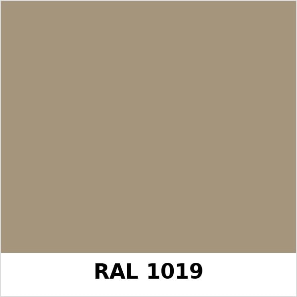Màu mã Ral 1019 | QMRal