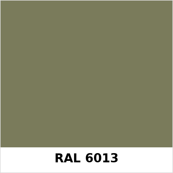Màu mã Ral 6013 | QMRal