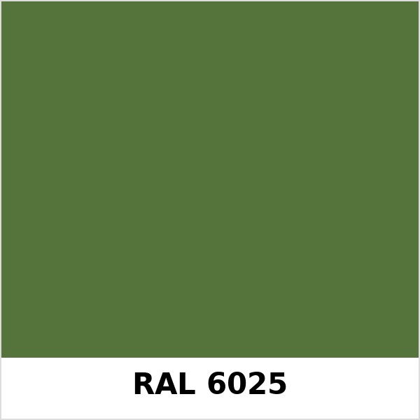 Màu mã Ral 6025 | QMRal