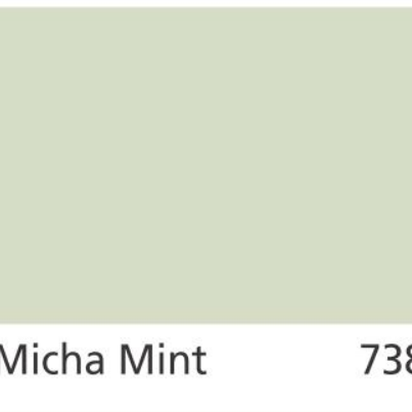 Pha màu Micha Mint - mã 7381 (S1010-G30Y)