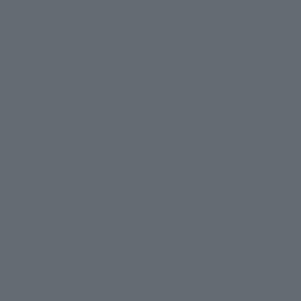 Pha màu Space Grey - mã 5255 (S6502-B)