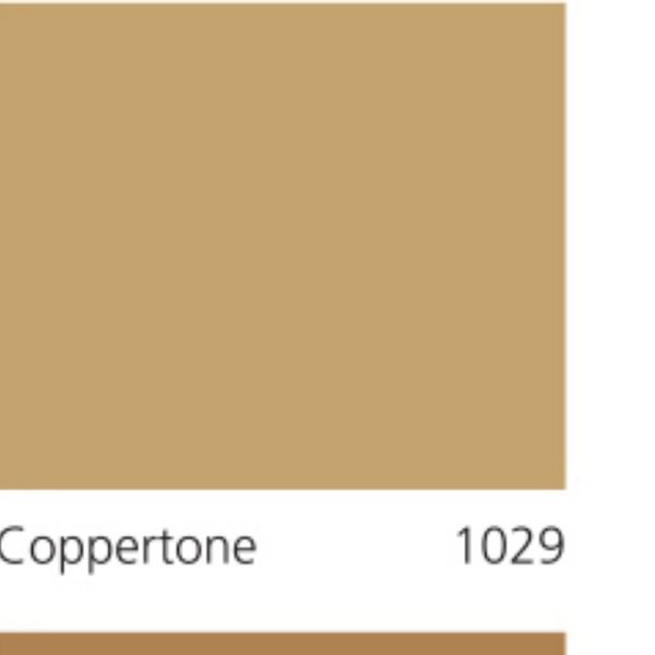 Pha màu Coppertone - mã 1029 (S2020-Y40R)