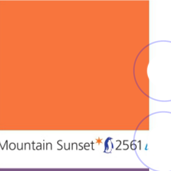 Pha màu Mountain Sunset - mã 2561 (1070-Y55R)