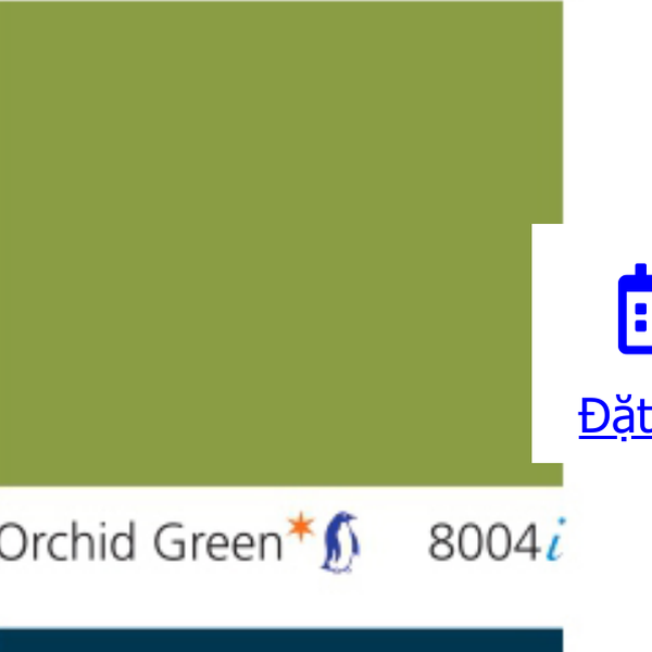 Pha màu Orchid Green - mã 8004 (3050-G60Y)