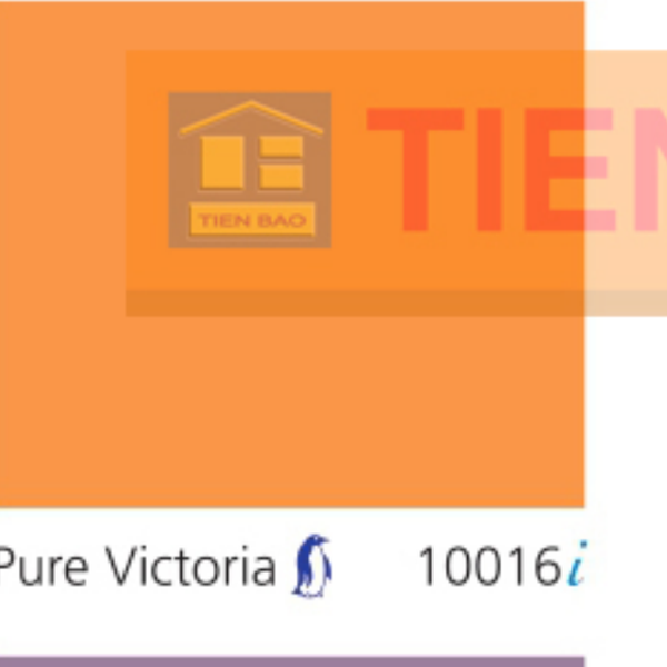Pha màu Pure Victoria - mã 10016 