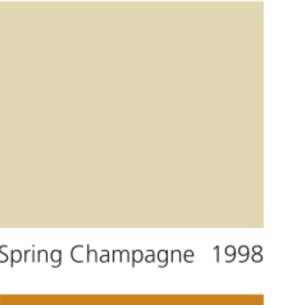 Pha màu Spring Champagne - mã 1998 (S1510-Y20R)