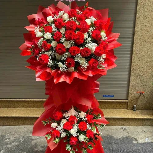 Hoa Khai Trương Hải Phòng 18