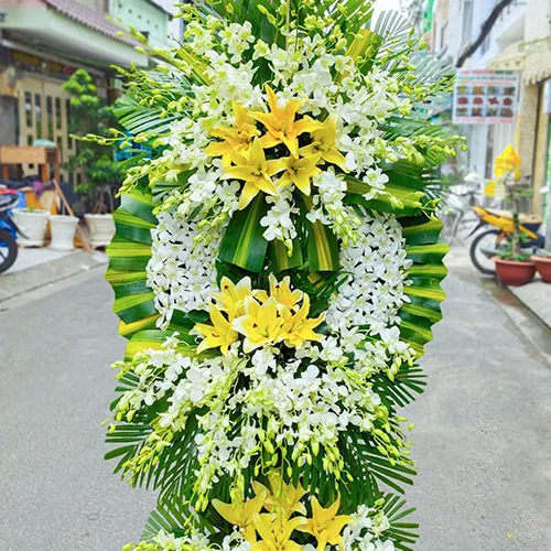 Hoa Tang Lễ Hải Phòng