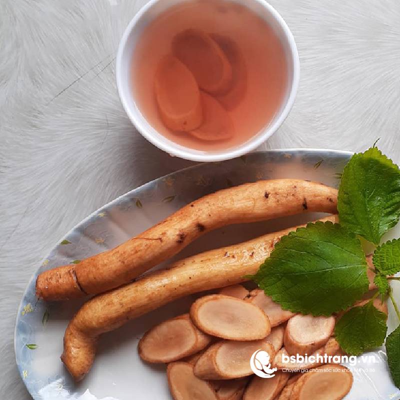 Tác dụng của củ gai trong việc điều trị động thai