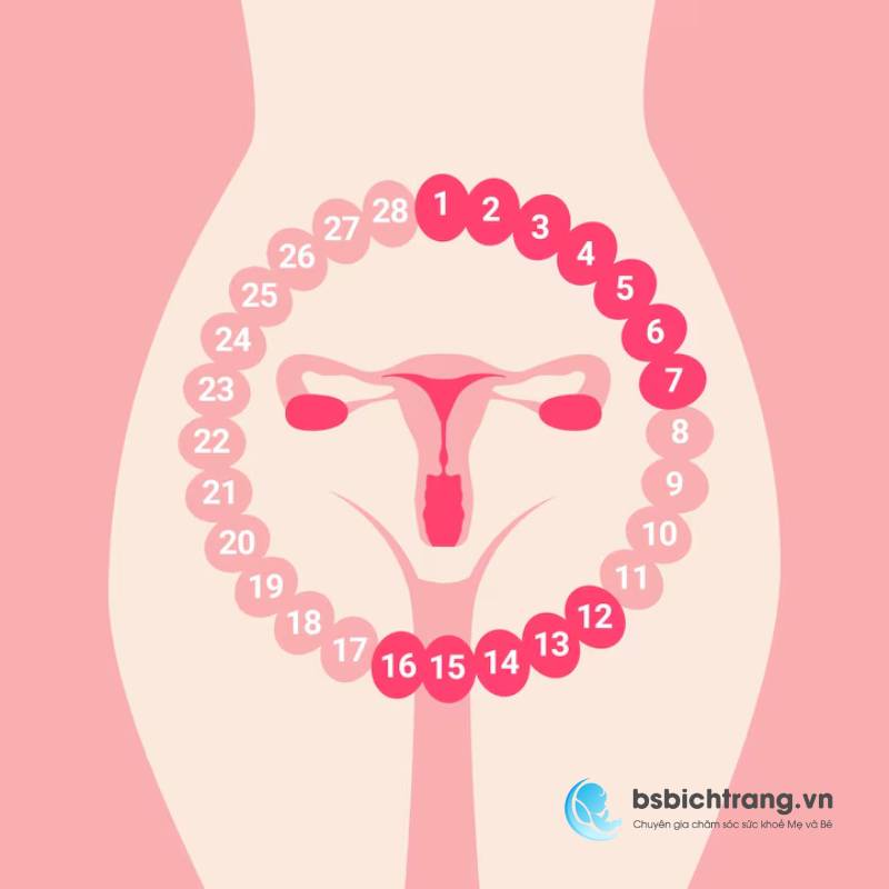Hướng dẫn cách tính ngày rụng trứng và thời điểm dễ thụ thai