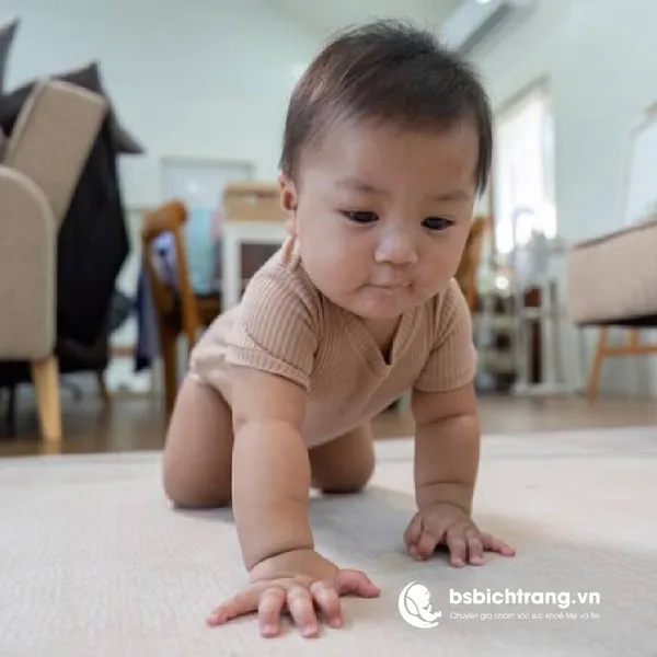 Khi nào thì bé bắt đầu tập bò? Góc nhìn khoa học và lời khuyên thực tế từ BS Bích Trang BMT