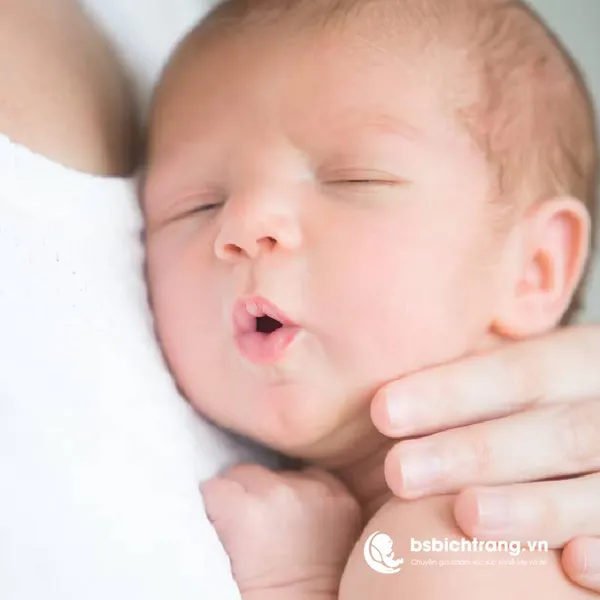 Bé bú xong có cần vỗ ợ hơi không? Nếu không ợ thì sao? Phân tích khoa học và kinh nghiệm thực tế