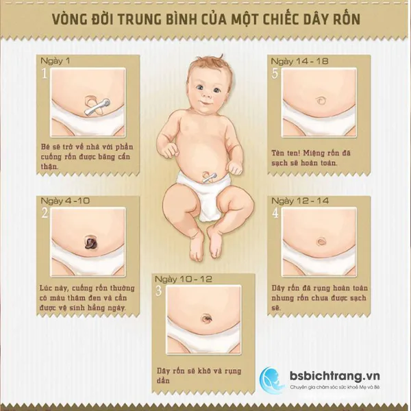 Cách chăm sóc rốn cho bé sơ sinh như thế nào?