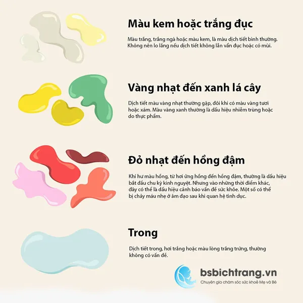 Vai trò của chất nhờn trong âm đạo? Chia sẻ từ Bs Bích Trang BMT