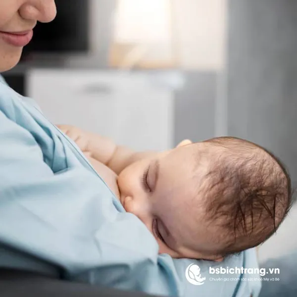 Bé sơ sinh bú bao nhiêu là đủ mỗi ngày? Lời khuyên toàn diện từ Bs Bích Trang BMT – Chuyên gia chăm sóc sức khoẻ Mẹ & Bé