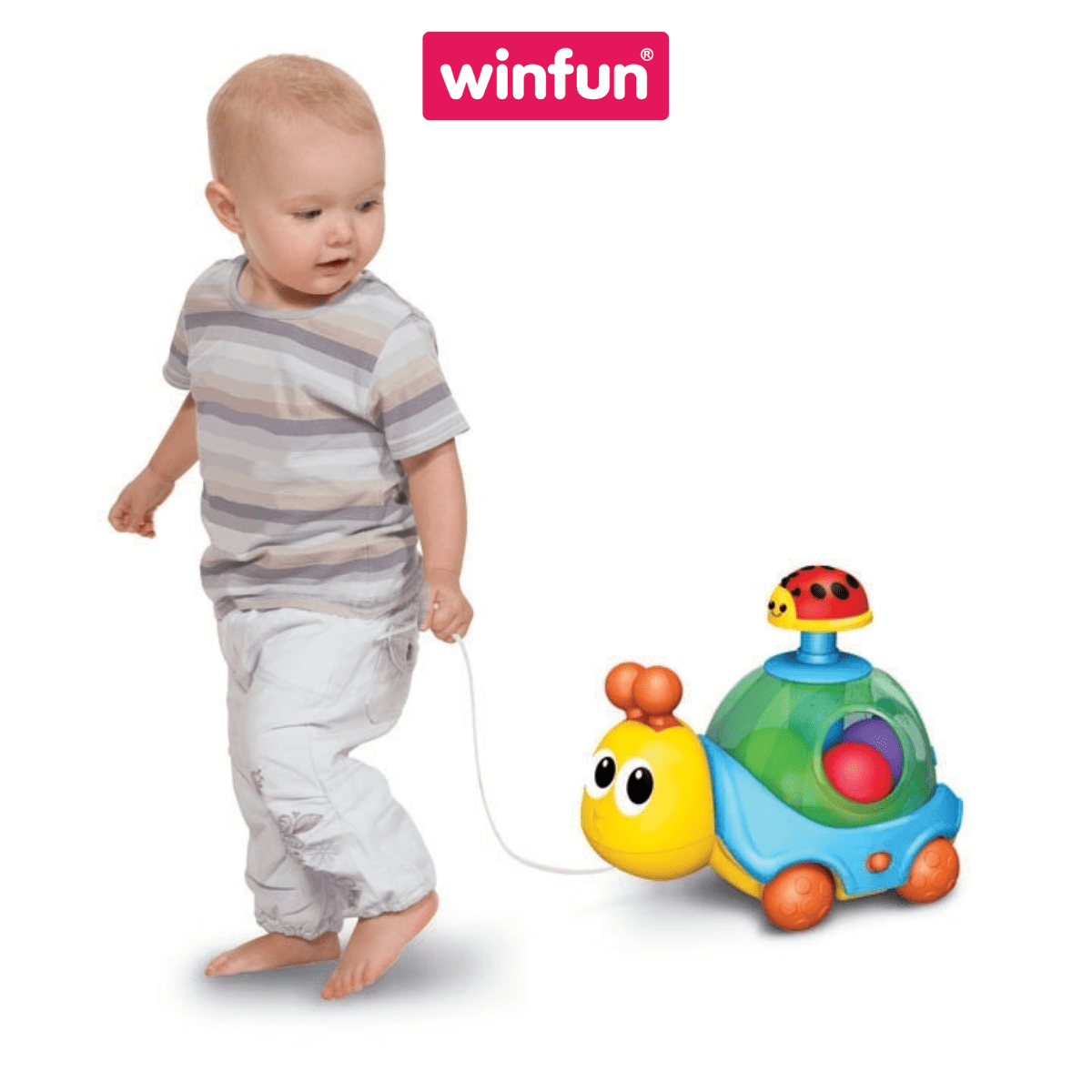 Đồ chơi ốc sên kéo dây phát nhạc Winfun 0674-NL Đồ chơi ốc sên kéo dây phát nhạc Winfun 0674-NL