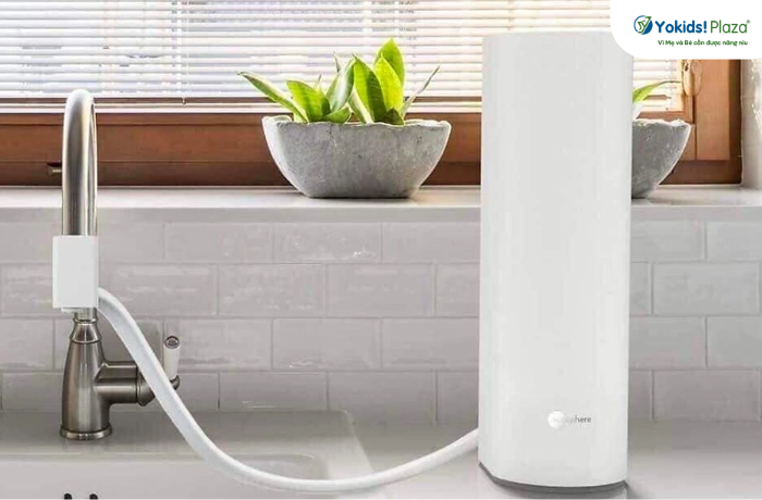 Máy lọc nước Ecosphere