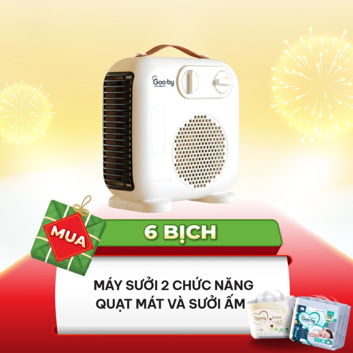 Máy sưởi 2 chức năng (quạt mát và sưởi ấm)