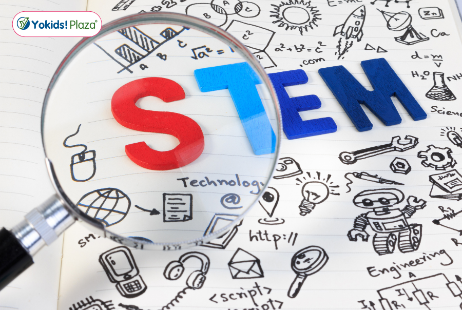 STEM là gì STEM là gì