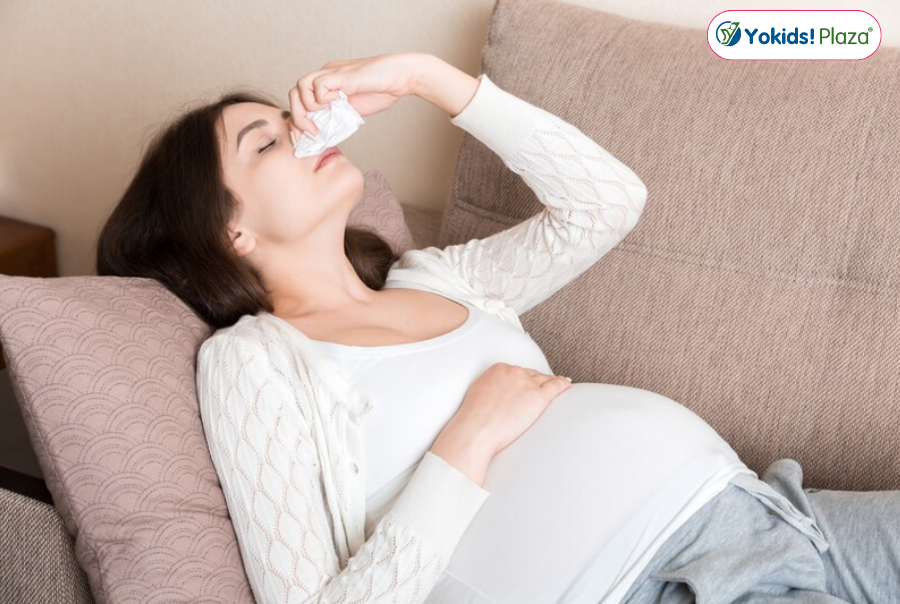 Bà bầu chảy máu cam có nguy hiểm không? Bà bầu chảy máu cam có nguy hiểm không?