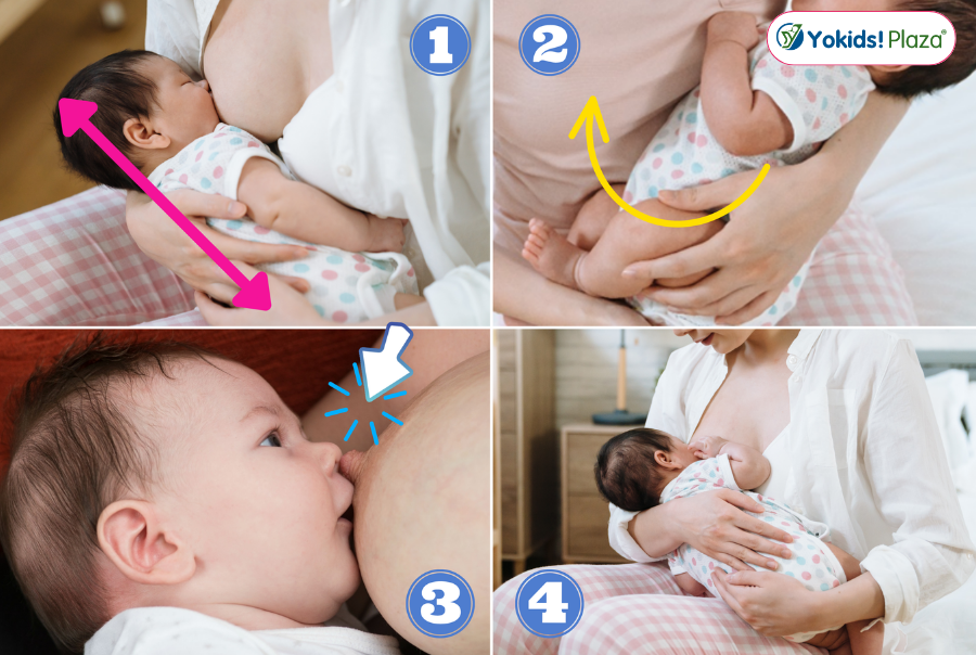 Cách chỉnh khớp ngậm đúng cho bé bú mẹ Cách chỉnh khớp ngậm đúng cho bé bú mẹ