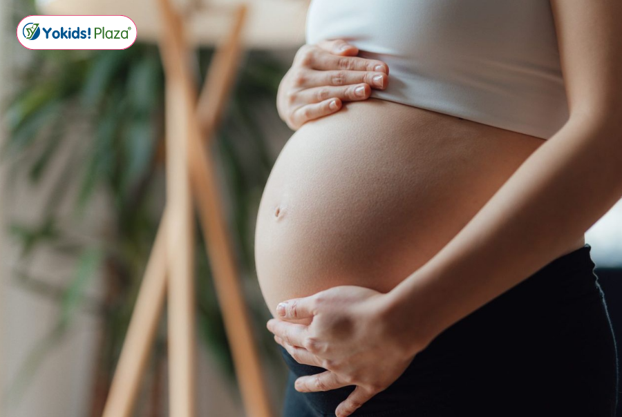 Nhau thai bám mặt trước nhóm 2 là gì? Có nguy hiểm không? Nhau thai bám mặt trước nhóm 2 là gì? Có nguy hiểm không?