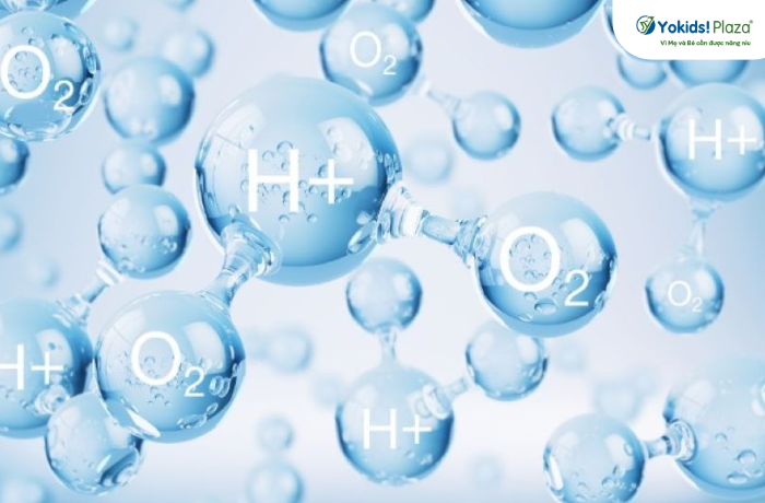 Nước ion kiềm chứa nhiều phân tử kích thước nhỏ dễ thẩm thấu vào các tế bào, đẩy nhanh quá trình trao đổi chất