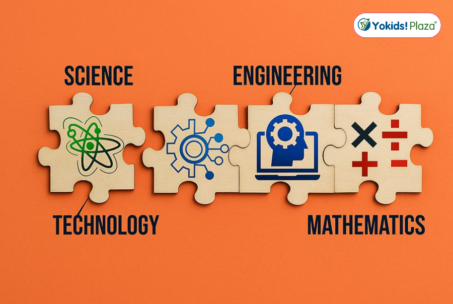 STEM Và Montessori Khác Nhau Như Thế Nào? STEM Và Montessori Khác Nhau Như Thế Nào?