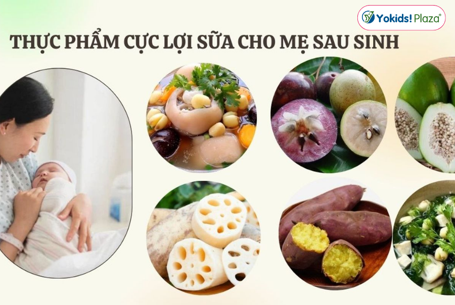 Thực phẩm cực lợi sữa cho mẹ sau sinh Thực phẩm cực lợi sữa cho mẹ sau sinh